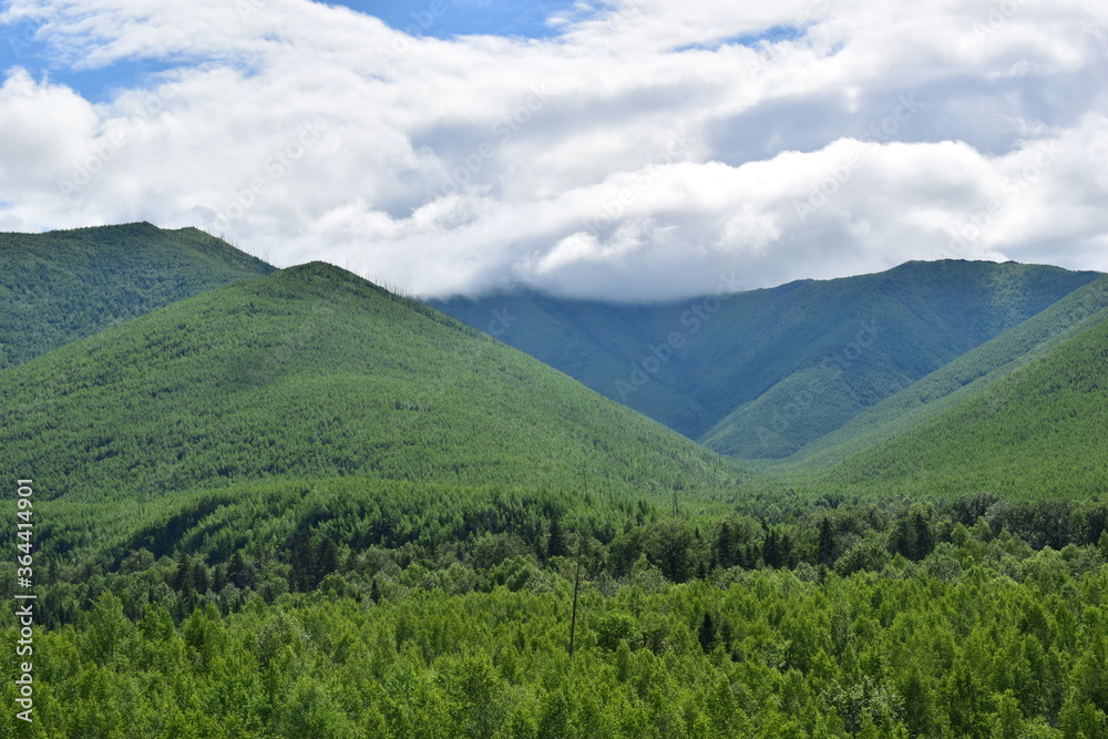Green hills with dense forest. Low gray-white clouds. The Sikhote-Alin mountains. Green hills with dense forest. Low gray-white clouds. The Sikhote-Alin mountains.