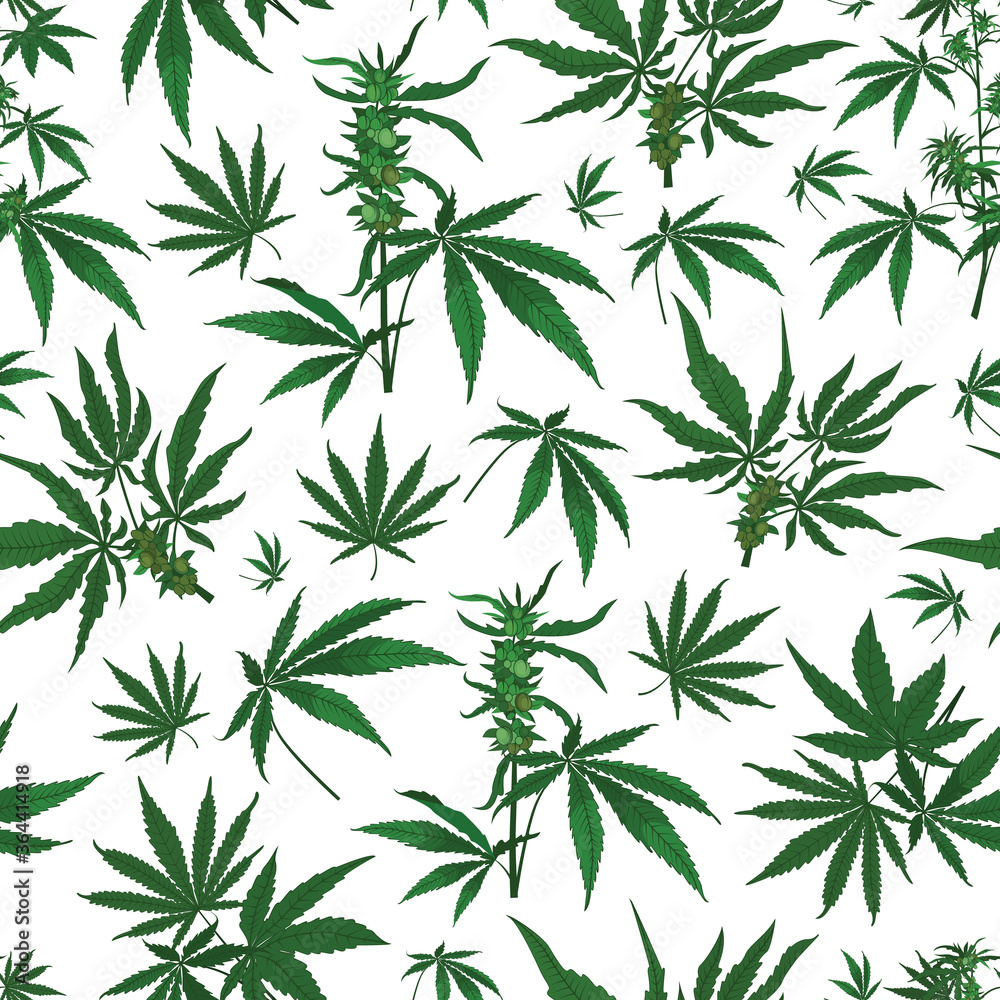 Vector marijuana hemp leaves with seeds seamless pattern background