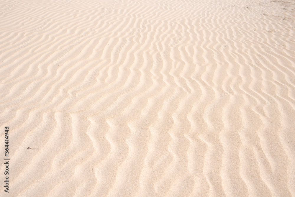 Golden sand in the dune, background of sand in the desert Golden sand in the dune, background of sand in the desert