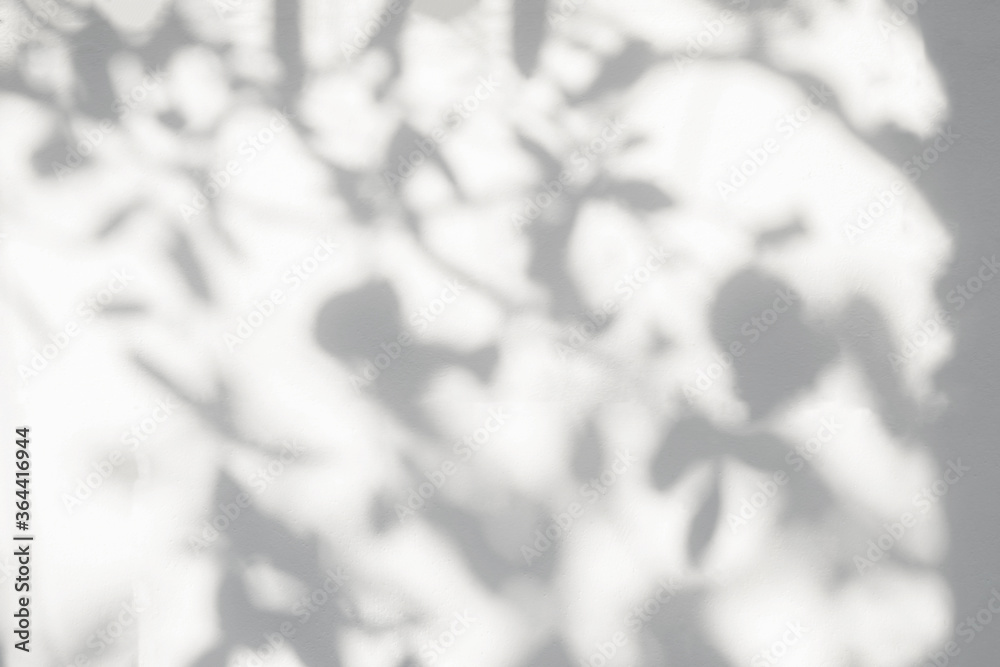 Fototapeta premium Shadow and light from sunlight of natural leaves tree branch on white wall.