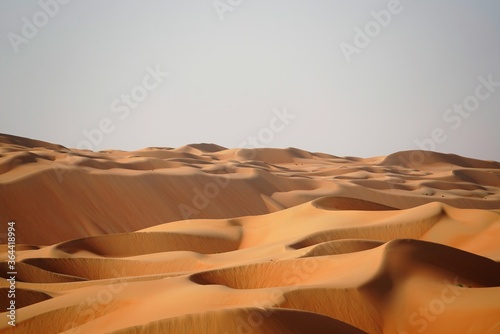 sunny desert sand dunes