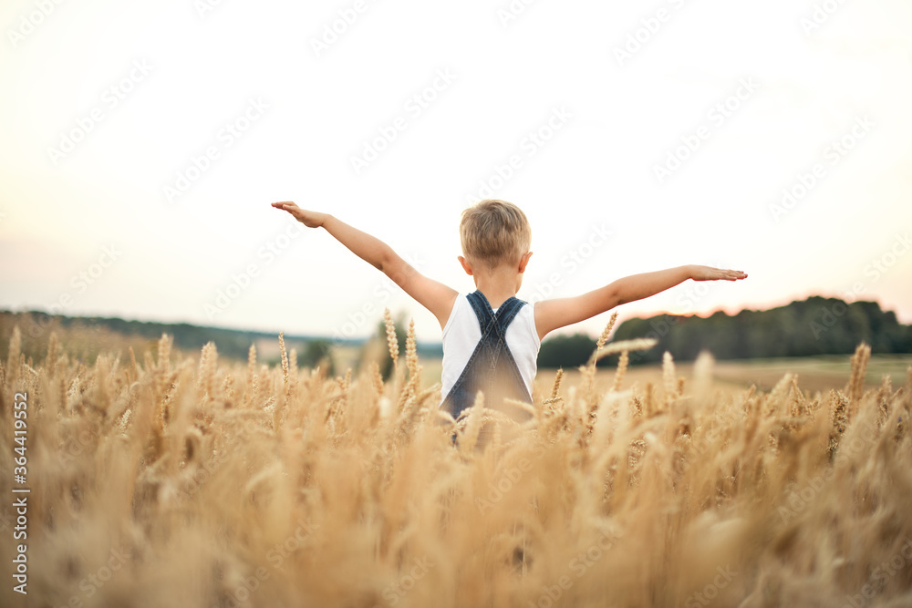 Little boy in summer outdoors
in cereal, arms outstretched. Back view.
Little boy in summer outdoors
in cereal, arms outstretched. Back view.
