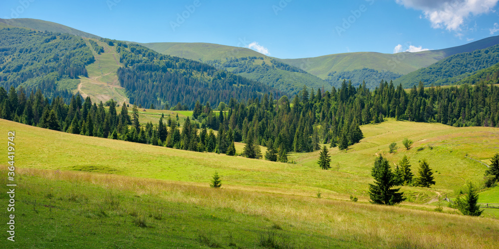 summer landscape of rural valley. beautiful panoramic countryside in the morning. cloud sitting on the mountain ridge. beautiful sunny weather.