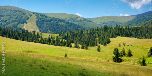 Fotografía summer landscape of rural valley