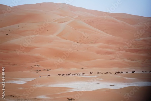 mareeb dune in desert and camel caravan