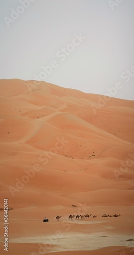 sand dunes in liwa desert  uae