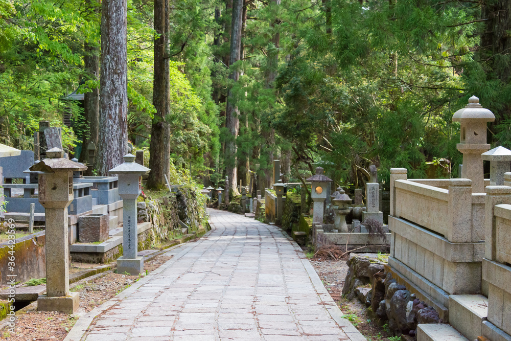 Okunoin Cemetery at Mount Koya in Koya, Wakayama, Japan. Mount Koya is UNESCO World Heritage Site.