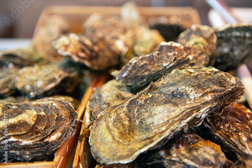 Fresh oysters sale on outdoor market in Sicily, soft focus. Restaurant delicacy. Saltwater oysters