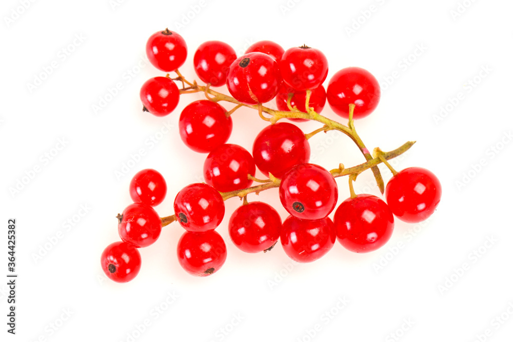 Sweet tasty fresh Red currant Sweet tasty fresh Red currant