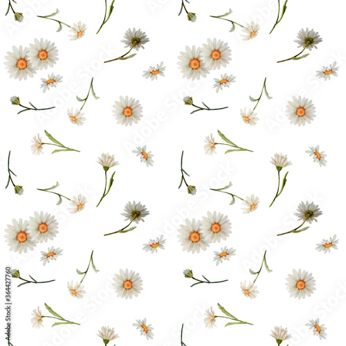 Watercolor seamless pattern with white chamomile flowers and blades of grass