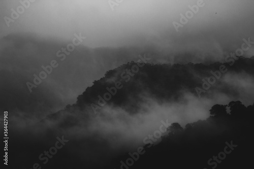 misty morning mist in Hinterland Australia