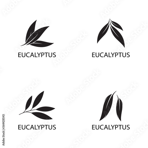 Eucalyptus leaves logo vector template design