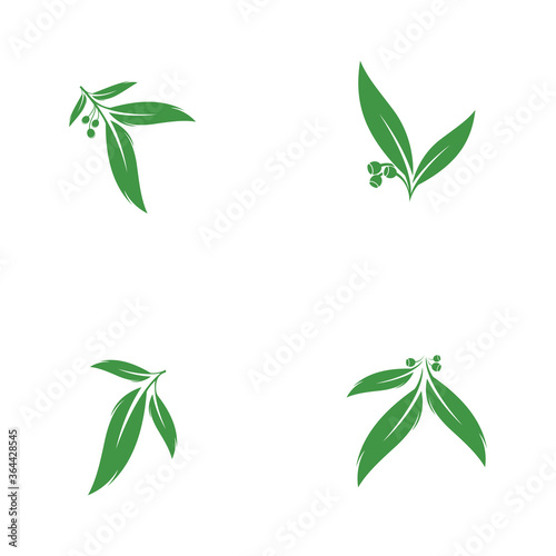 Eucalyptus leaves logo vector template design