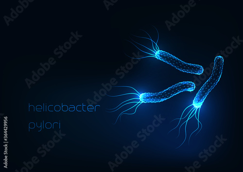 Futuristic glowing low polygonal helicobacter pylori bacteria cells isolated on dark blue photo