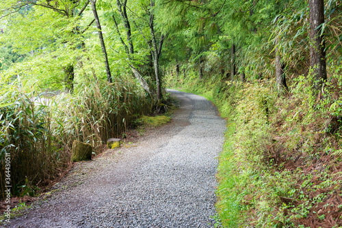 Koyasan Pilgrimage Routes - Nyonin-michi Pilgrimage Route (Women's Route) in Koya, Wakayama, Japan. It is UNESCO World Heritage Site.