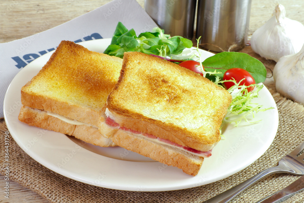 croque-monsieur et salade dans une assiette croque-monsieur et salade dans une assiette