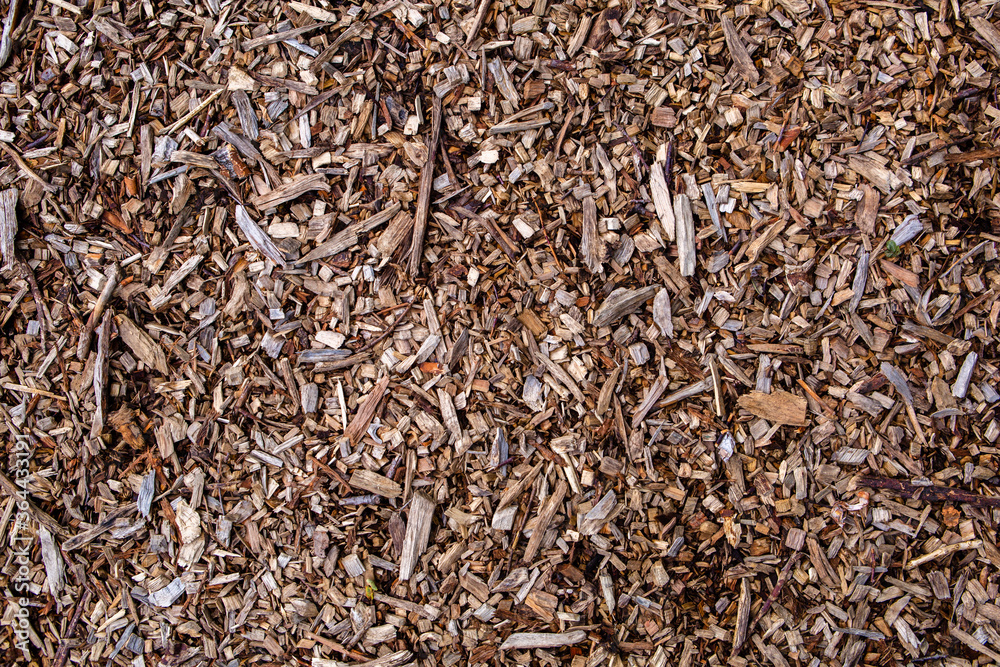 Background of brown wood shavings on the ground Background of brown wood shavings on the ground