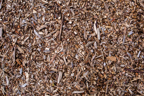 Background of brown wood shavings on the ground