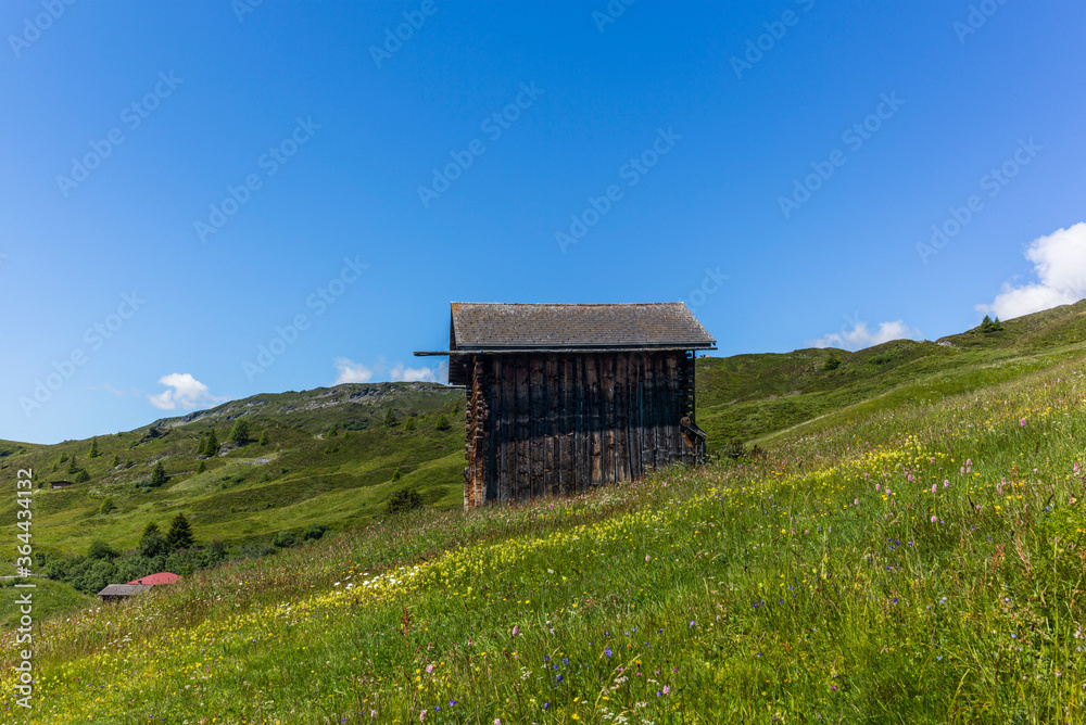 Old log stable on the alpine meadows covered in green grass and colorful flowers in Switzerland during summer