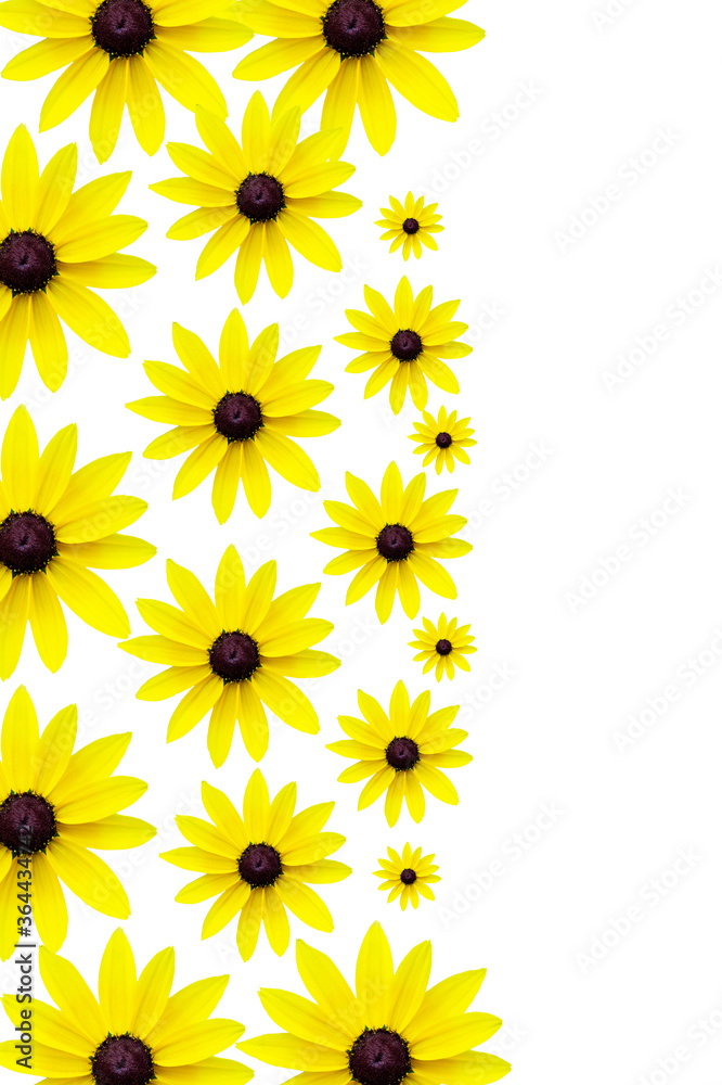 Naklejka premium yellow flowers on white