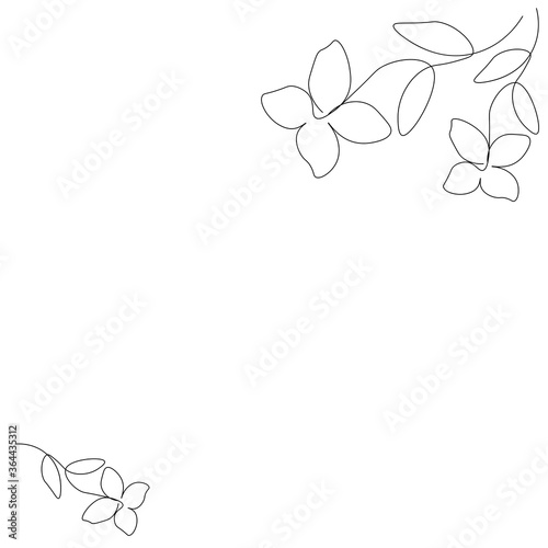 Jasmine flower on white background. Vector illustration