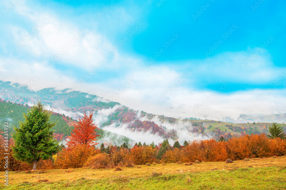 Gorgeous autumn day landscape in mountain village.