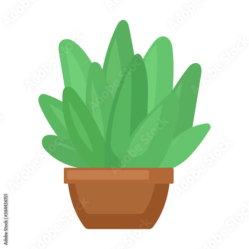 Houseplant cacti vector cartoon icon. Vector illustration cactus on white background. Isolated cartoon illustration icon houseplant cacti.