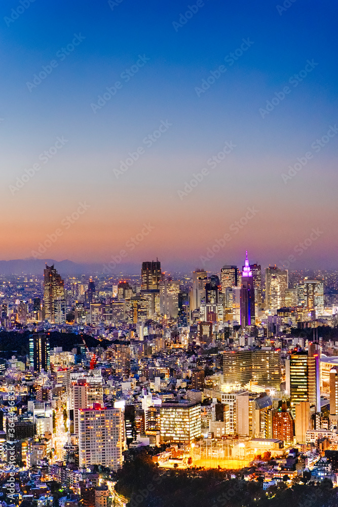 Famous Destinations. Night View of Picturesque Tokyo Skyline at Golden Hour With Fuji Mountain in Background.