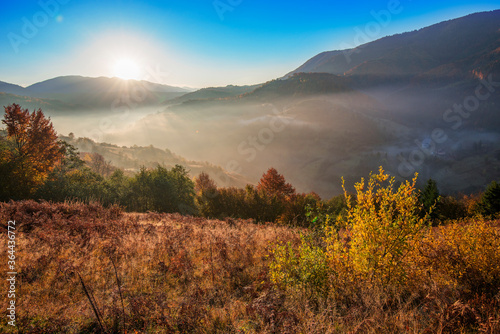 Beautiful sunrise in mountain forest with magical sky on background © YouraPechkin