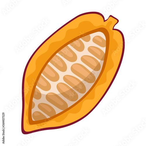 Cocoa bean isolated cartoon illustration icon. Vector illustration chocolate fruit on white background. Vector cartoon icon cocoa bean.