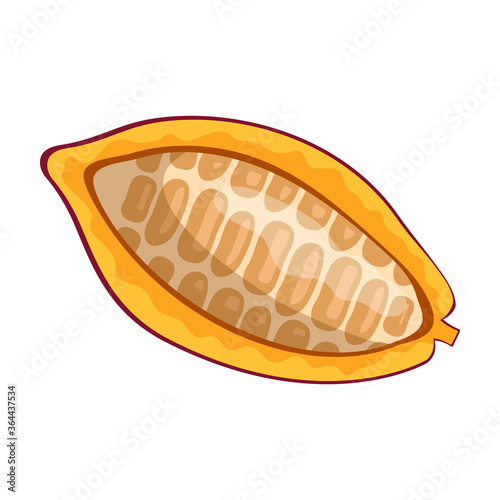 Cocoa bean isolated cartoon illustration icon. Vector illustration chocolate fruit on white background. Vector cartoon icon cocoa bean.