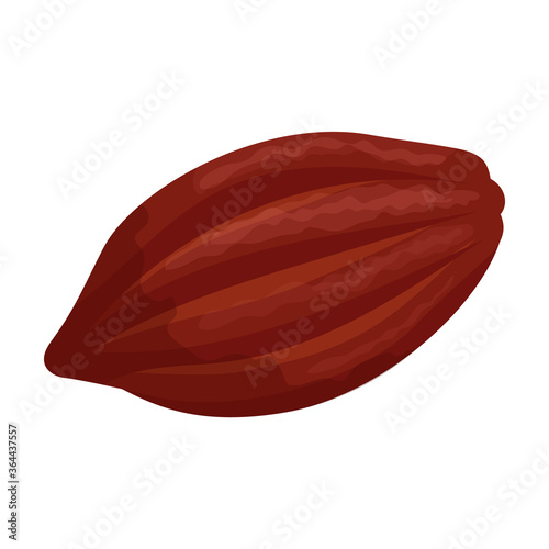 Cocoa bean isolated cartoon illustration icon. Vector illustration chocolate fruit on white background. Vector cartoon icon cocoa bean.