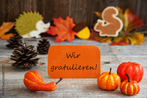 Orange Label With German Text Wir Gratulieren Means Congratulations. Autumn Decoration Like Pumpkin, Hedgehog And Squirrel
