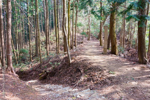 Koyasan choishi-michi in Kudoyama, Wakayama, Japan. It is part of the "Sacred Sites and Pilgrimage Routes in the Kii Mountain Range" UNESCO World Heritage Site.