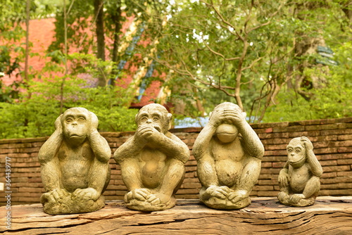 Different Monkeys Faces statue - No Hear  No Speak  No See