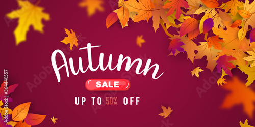 Autumn sale falling leaves background nature