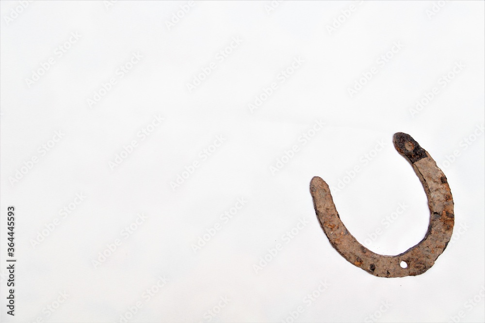 Fototapeta premium horseshoe