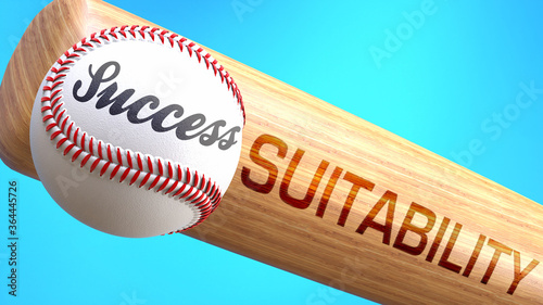 Success in life depends on suitability - pictured as word suitability on a bat, to show that suitability is crucial for successful business or life., 3d illustration photo