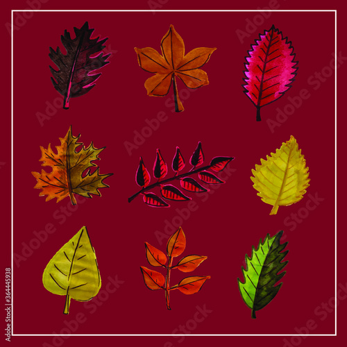 Autumn set of leaves of different trees. Yellow, red, orange, maple, birch, oak. Hand-painted, watercolor. Vector isolated objects.