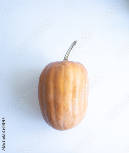 orange pumpkin with a root white background