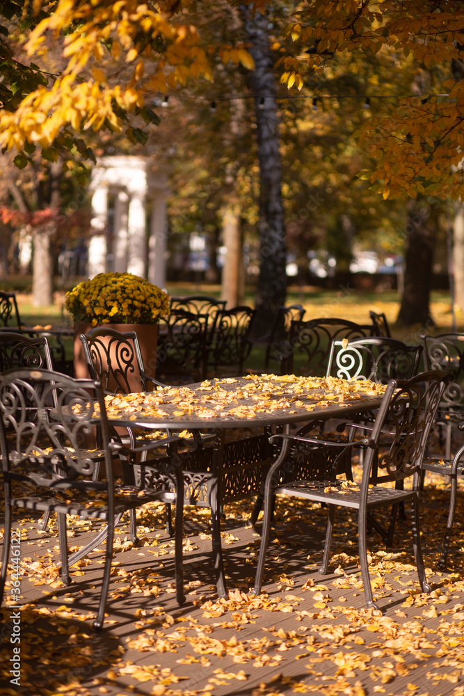 table chairs cafe outside park trees autumn