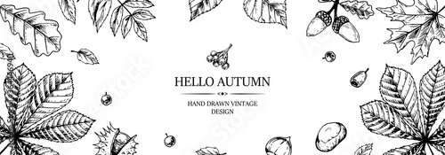 Hand drawn autumn horizontal banner with falling leaves, acorn and berries. Vector illustration in sketch style isolated on white. Space for text
