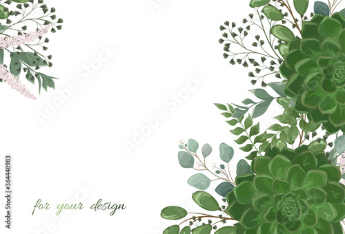 Beautiful background with Succulent flowers. Vector illustration. EPS 10.