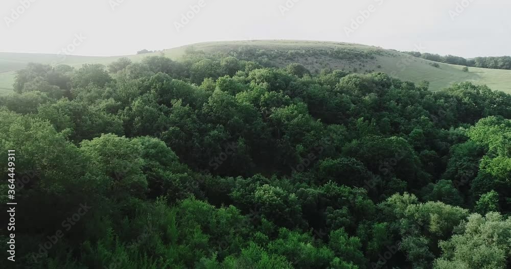 Aerial view of a beautiful, green, picturesque, forest situated in a mountainous region. Aerial view of a beautiful, green, picturesque, forest situated in a mountainous region.