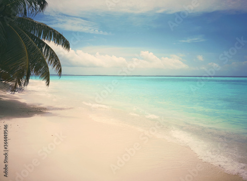Fototapeta Naklejka Na Ścianę i Meble -  Tropical Maldives beach with coconut palm trees and blue sky.