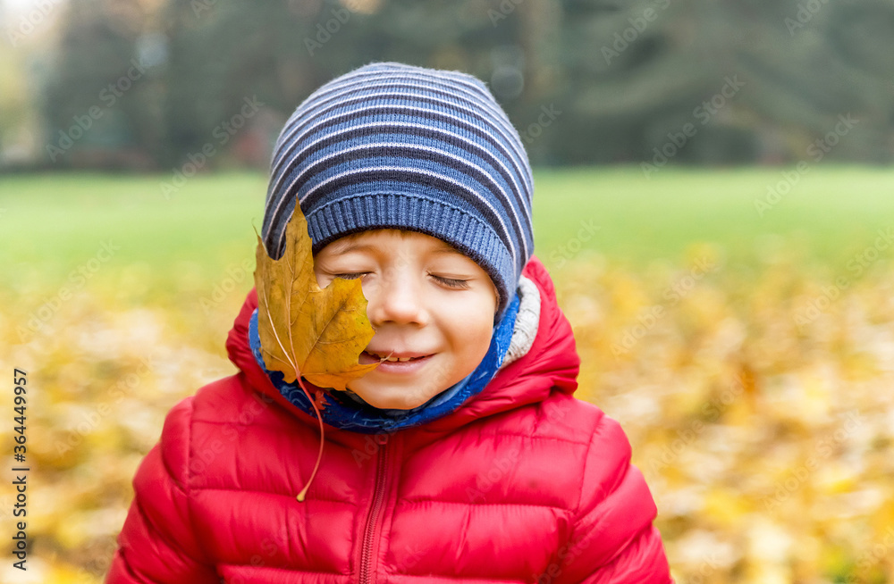 Kiss of the autumn. Happy little boy with yellow maple leaves on the face is in the park.
