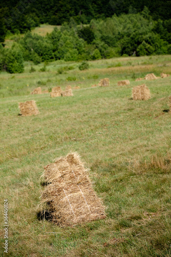 Haystacks on Dubasnica mountain in eastern Serbia near the city of Bor photo