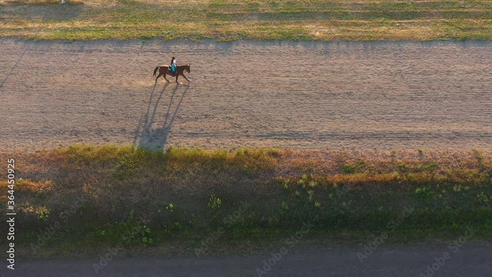 aerial 4k shot of woman riding horse. Horse riding training on hippodrome aerial 4k shot of woman riding horse. Horse riding training on hippodrome