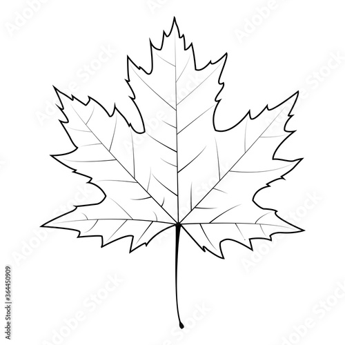 Set of Autumn leaf, Maple leaf vector, eps10 vector format.
