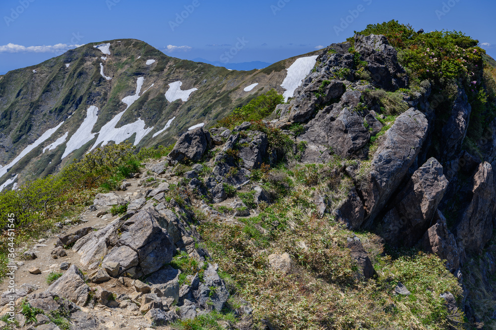 谷川岳から見た茂倉岳と登山道 谷川岳から見た茂倉岳と登山道